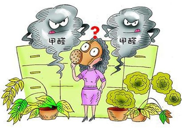 不知道除甲醛多少錢一平米？你就等著被坑吧！