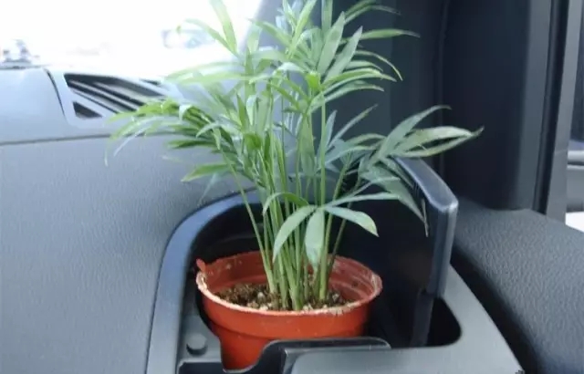 新車除醛，車內除甲醛什么辦法***？