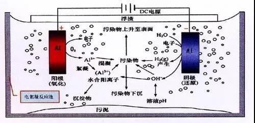 我買了一個甲醛檢測儀，吹口氣后發(fā)現(xiàn)原來我才是“地表最強(qiáng)”污染源！