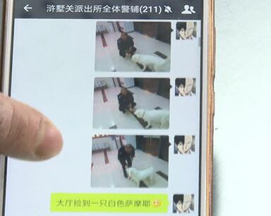 有問(wèn)題找警察，薩摩耶派出所報(bào)案，不注意這件事，對(duì)狗狗致命，警察蜀黍卻幫不上忙！