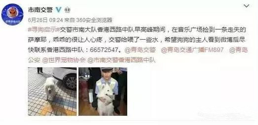 有問(wèn)題找警察，薩摩耶派出所報(bào)案，不注意這件事，對(duì)狗狗致命，警察蜀黍卻幫不上忙！