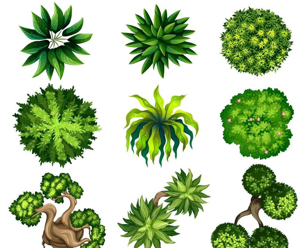 可以凈化室內(nèi)空氣的植物，這二十種您需要好好了解一下！