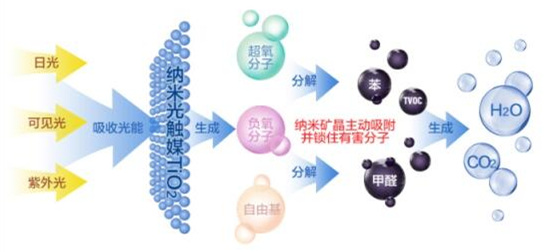 洋蔥可以除甲醛？民間流傳土方法可信嗎？