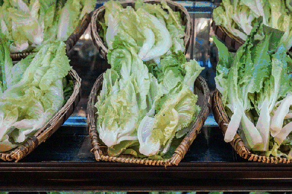 夏至高溫預(yù)警！消暑養(yǎng)生秘笈了解一下？