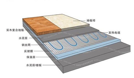 冬季，它們成了甲醛的幫兇