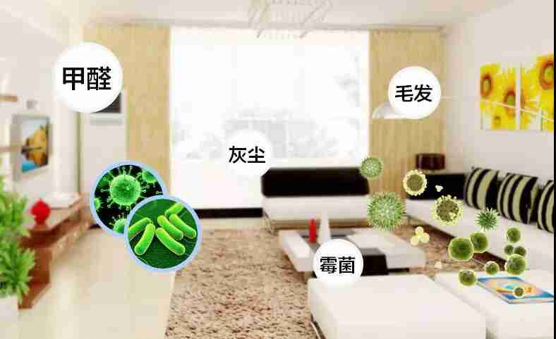 網(wǎng)上的除甲醛好辦法真的有效嗎？原理是什么