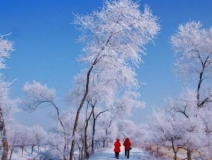 如何解決冬季室內(nèi)和車(chē)內(nèi)環(huán)境污染問(wèn)題的問(wèn)題呢？