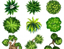 可以凈化室內(nèi)空氣的植物，這二十種您需要好好了解一下！