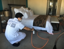 如何使用光觸媒除甲醛，以及它的原理是什么