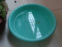 裝修完僅靠兩盆冷水就能除甲醛？這個說法連網(wǎng)友都出來辟謠！大家別再相信了！