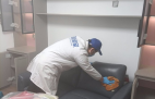 哪種方法除甲醛才是真正有效的呢？