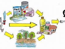 食品中有塑化劑嗎？這些食品中含有大量塑化劑，食用時(shí)一定要注意！