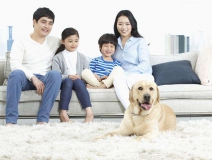 家里甲醛超標(biāo)怎么辦，受污染影響的人群有哪些