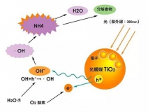 現(xiàn)在光觸媒的價格是多少？