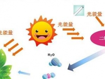甲醛治理用什么辦法最正確？這三點常見的除甲醛辦法其實是誤區(qū)