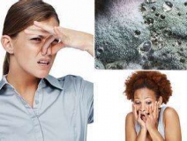 家里有異味怎么辦？科學(xué)除味、治理甲醛就對(duì)了！