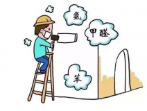 去甲醛具體有哪些方法呢？