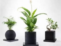 怎么甲醛治理靠得牢？竹炭、植物成最大“騙局”