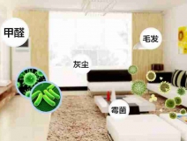 網(wǎng)上的除甲醛好辦法真的有效嗎？原理是什么