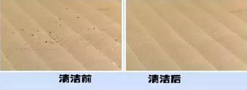 南京美女睡了10年的床墊，掀開(kāi)后把全家人都嚇傻了……