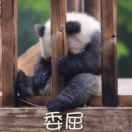 別大意！七大除甲醛“誤區(qū)”，信了你反而會生??！通風、綠植、活性炭、熏蒸……你中招了嗎？