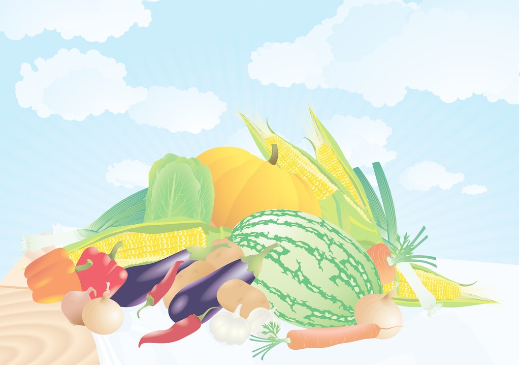 夏季找除甲醛公司有哪些需要注意的？