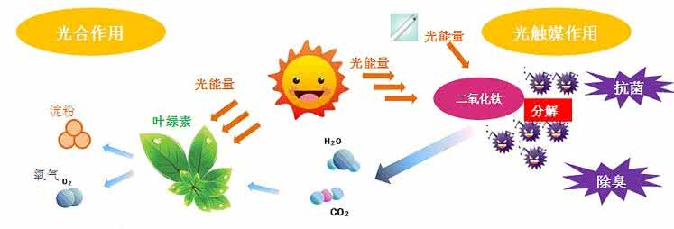 家中甲醛超標，什么才是甲醛治理的正確姿勢？